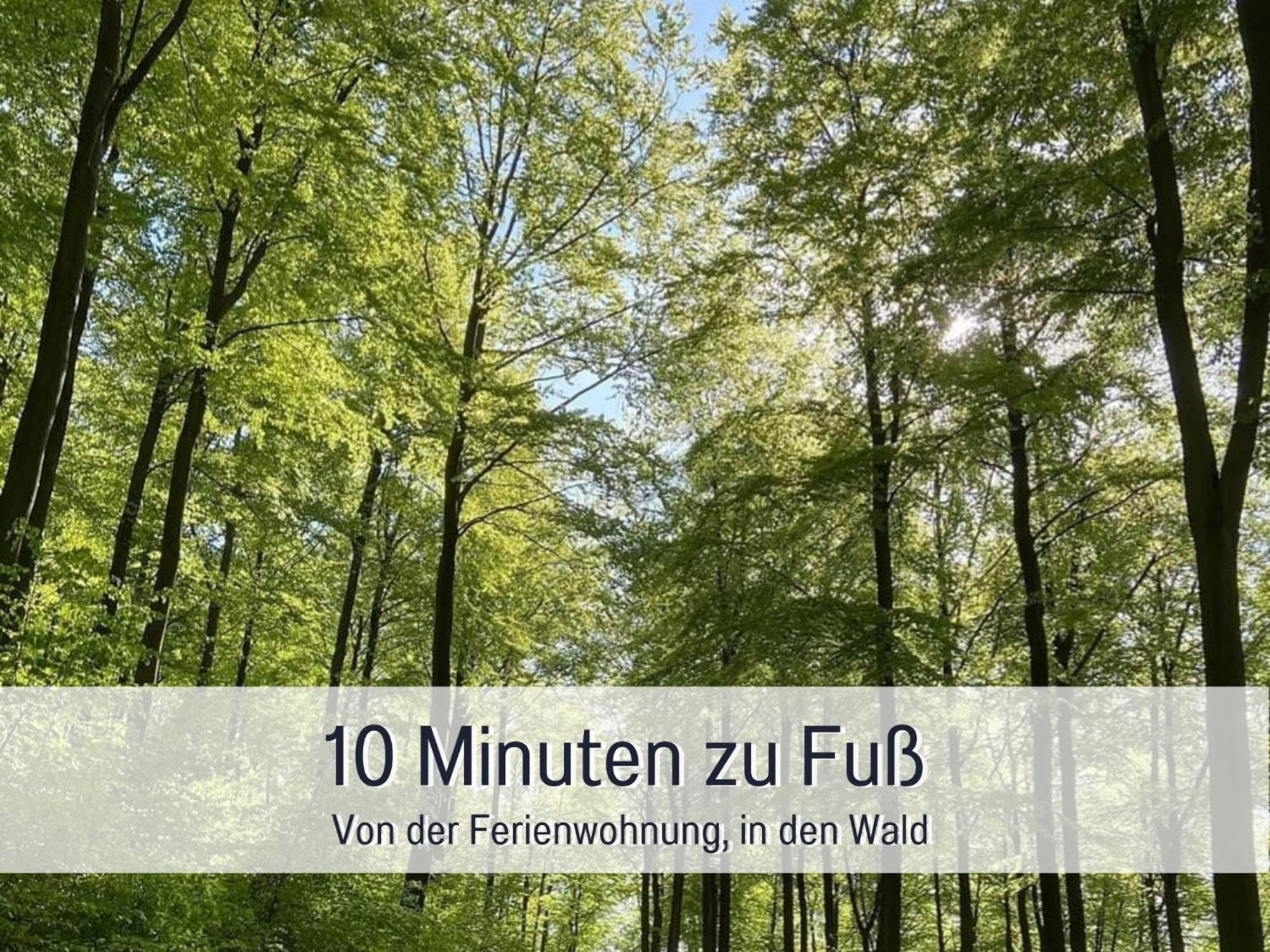 Am Feldrain - Urlaub Mit Hund Im Weserbergland Ганн. Мюнден Экстерьер фото