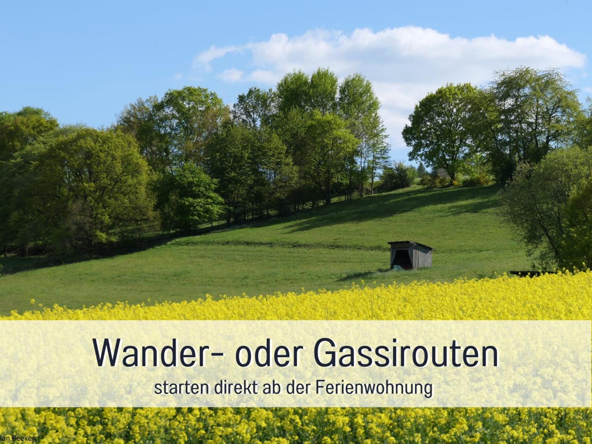 Am Feldrain - Urlaub Mit Hund Im Weserbergland Ганн. Мюнден Экстерьер фото